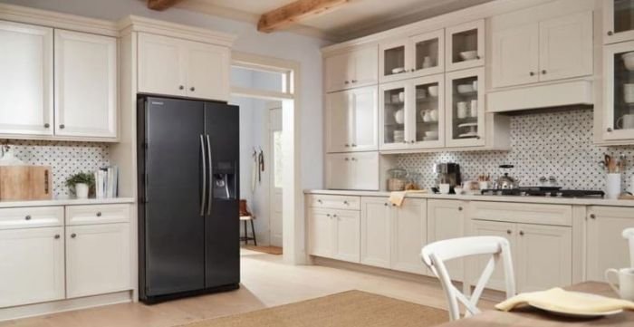 French door fridges