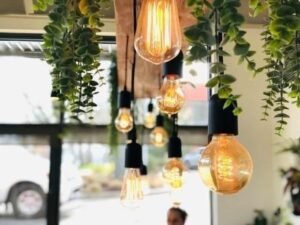 bulbs mean a lot