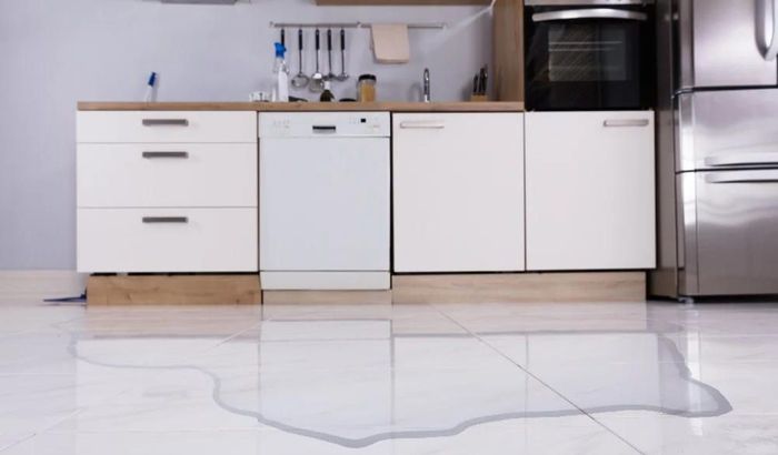 how to fix a leaky dishwasher door