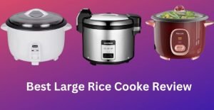large rice cooker