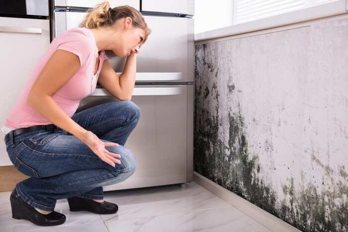 mold remediation services in lancaster