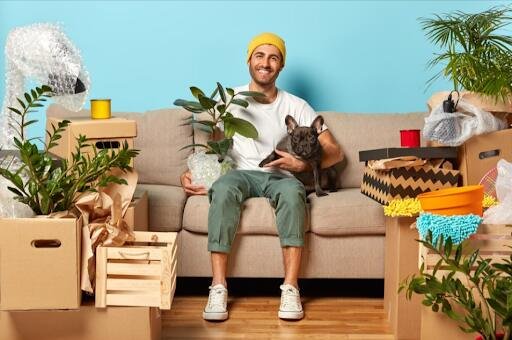 how to prepare your pet for a stress free move with pet movers